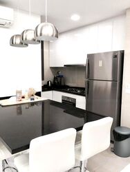 Meridian 38 (D15), Apartment #500634221